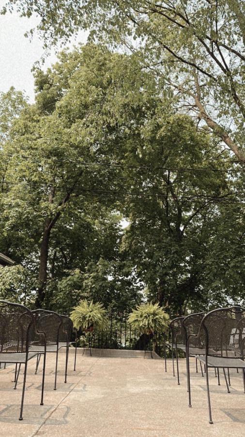 مبيت وإفطار ماونت بليزانت The Ginkgo Tree المظهر الخارجي الصورة